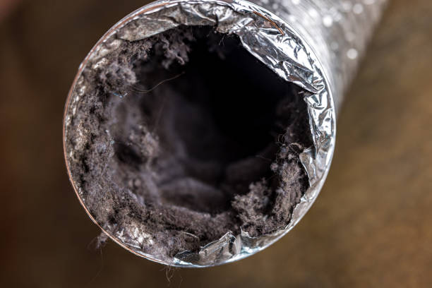 Best Air Duct Cleaning Near Me  in Garden Home Whitfd, OR